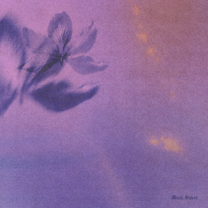 国产丨白浆㊙️3D
