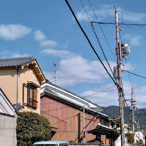 国产丨白浆㊙️3D
